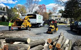 How Our Tree Care Process Works  in  Keshena, WI